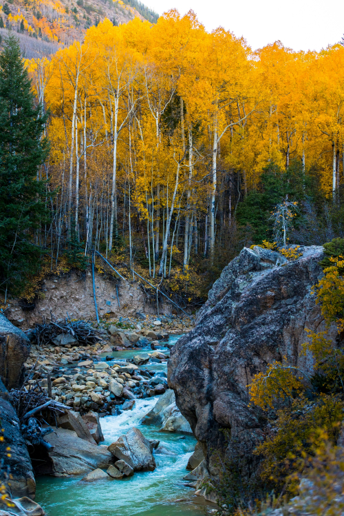 Nature
